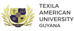 Texila American University Logo